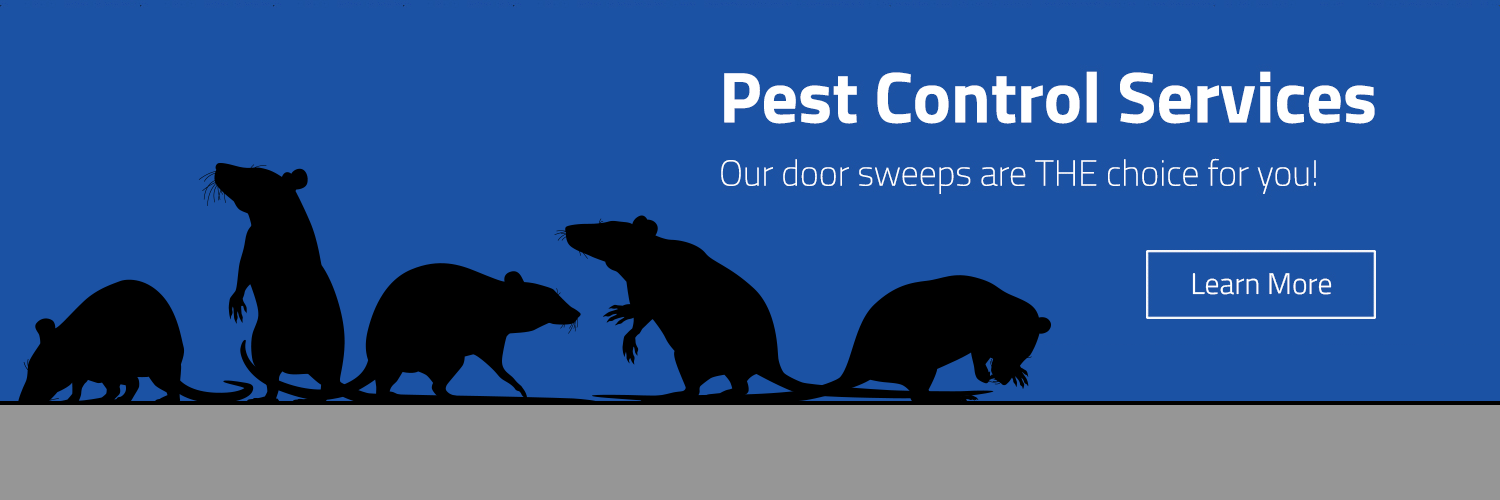 For Pest Control Services